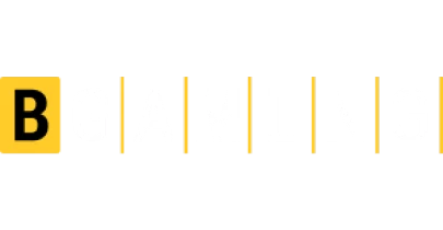 partners who work with VAVADA