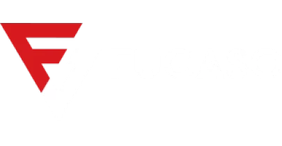 partners who work with VAVADA