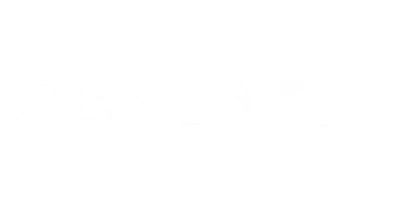 partners who work with VAVADA