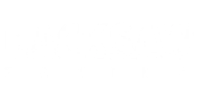 partners who work with VAVADA